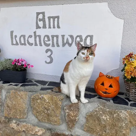Appartement Dach-maisonette 